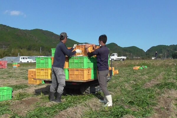 お仕事紹介画像