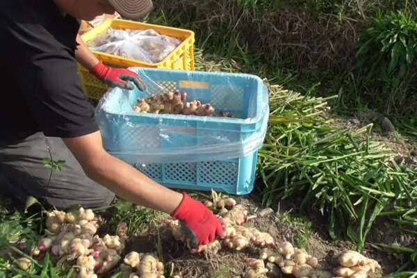 お仕事紹介画像