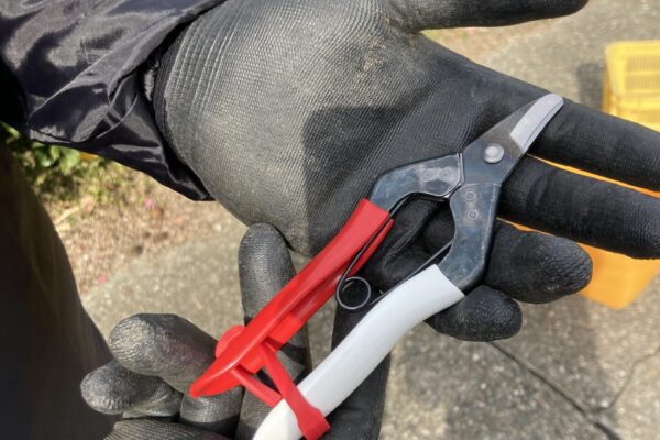 お仕事紹介画像