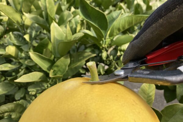 お仕事紹介画像