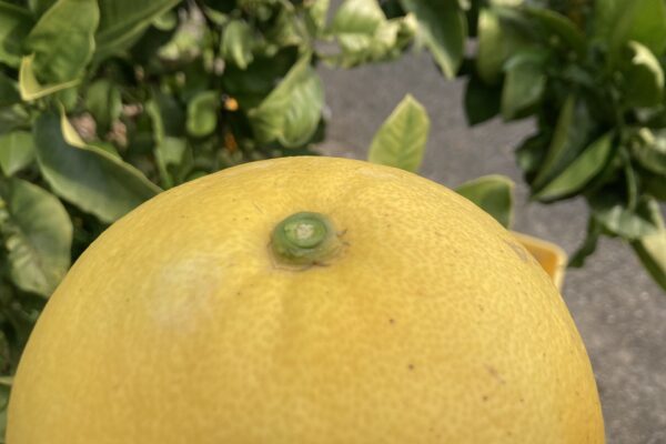 お仕事紹介画像