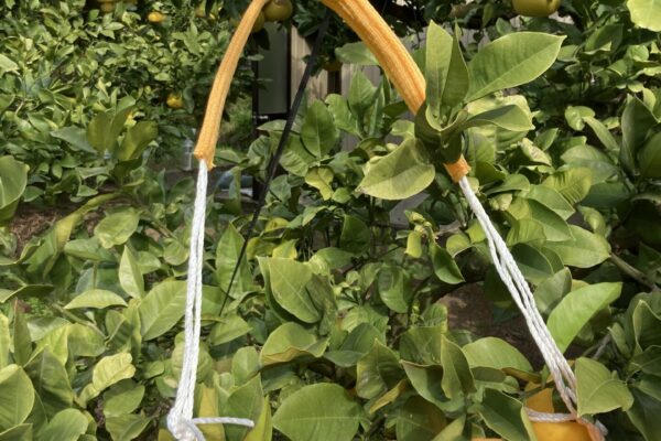 お仕事紹介画像