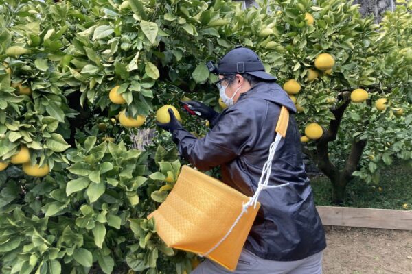 お仕事紹介画像