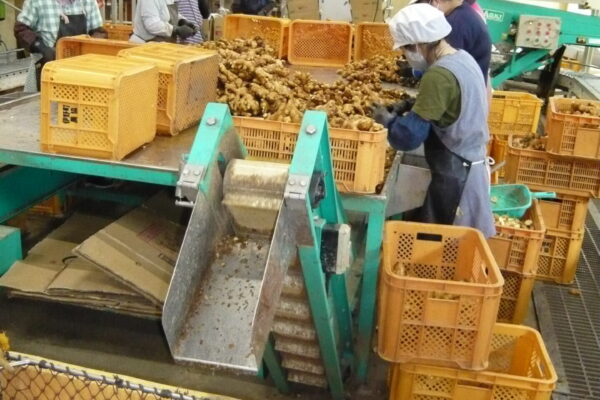 お仕事紹介画像