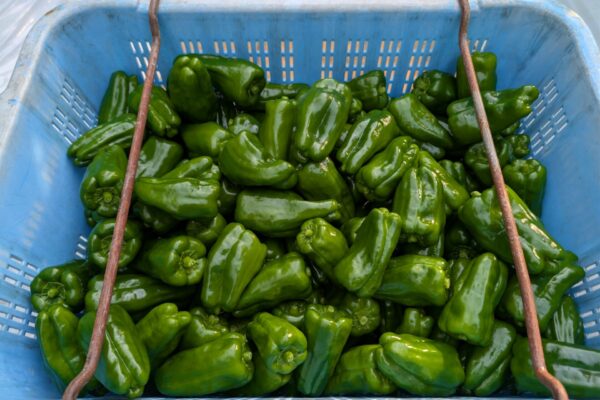 お仕事紹介画像